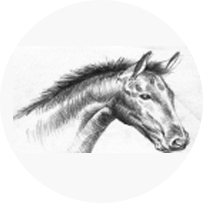 Equus LLC